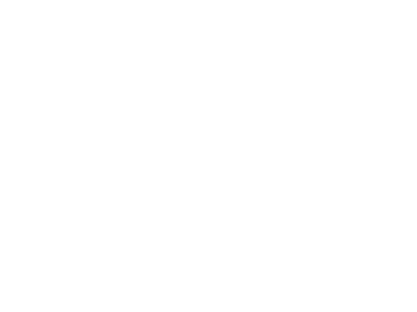 BTS_LOGO_REV